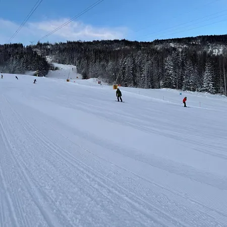 Norefjell In - Out * Noresund