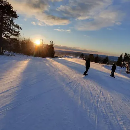 Norefjell In - Out
