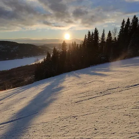 Norefjell In - Out
